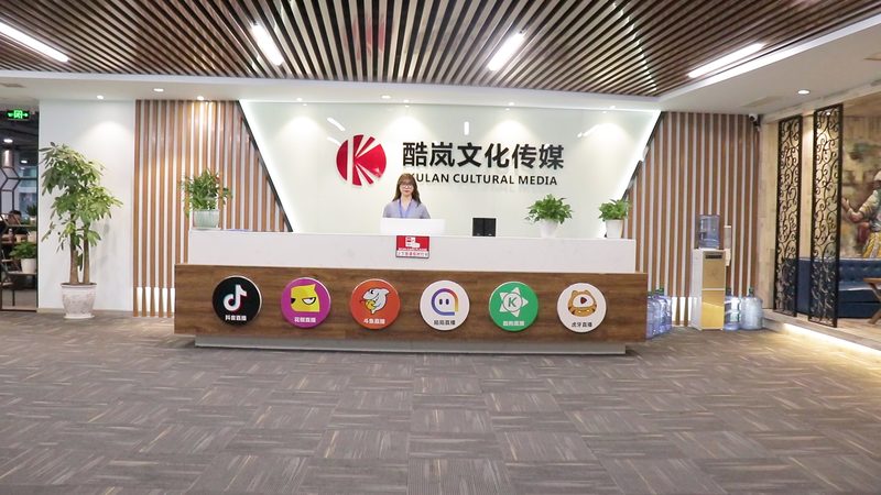 媒介投放案例报告：如何精准解析与优化**